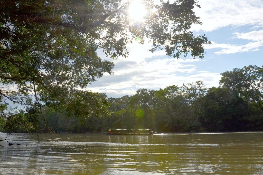 Bild 6 von 23: Die untere Napo Region repräsentiert den typischen Tiefland-Regenwald mit seinem Festland-Wald, ausgedehnten Sümpfen und Lagunen, die meist aus Armen des Rio Napos entstanden sind 