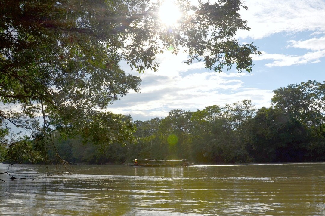 Bild 6 von 23: Die untere Napo Region repräsentiert den typischen Tiefland-Regenwald mit seinem Festland-Wald, ausgedehnten Sümpfen und Lagunen, die meist aus Armen des Rio Napos entstanden sind