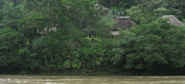 Urwald_Amazonas_Ecuardot